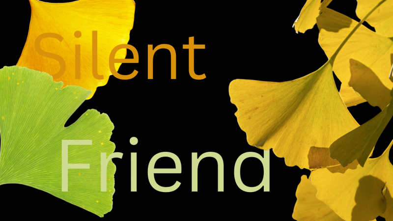 Von Marburg in die Welt: Hessenpremiere von „Silent Friend” mit einem Ginkgo als Star