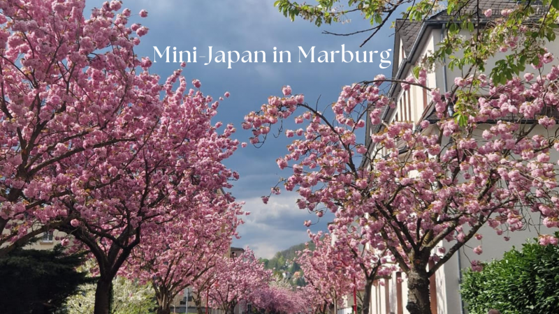 Mini-Japan in Marburg